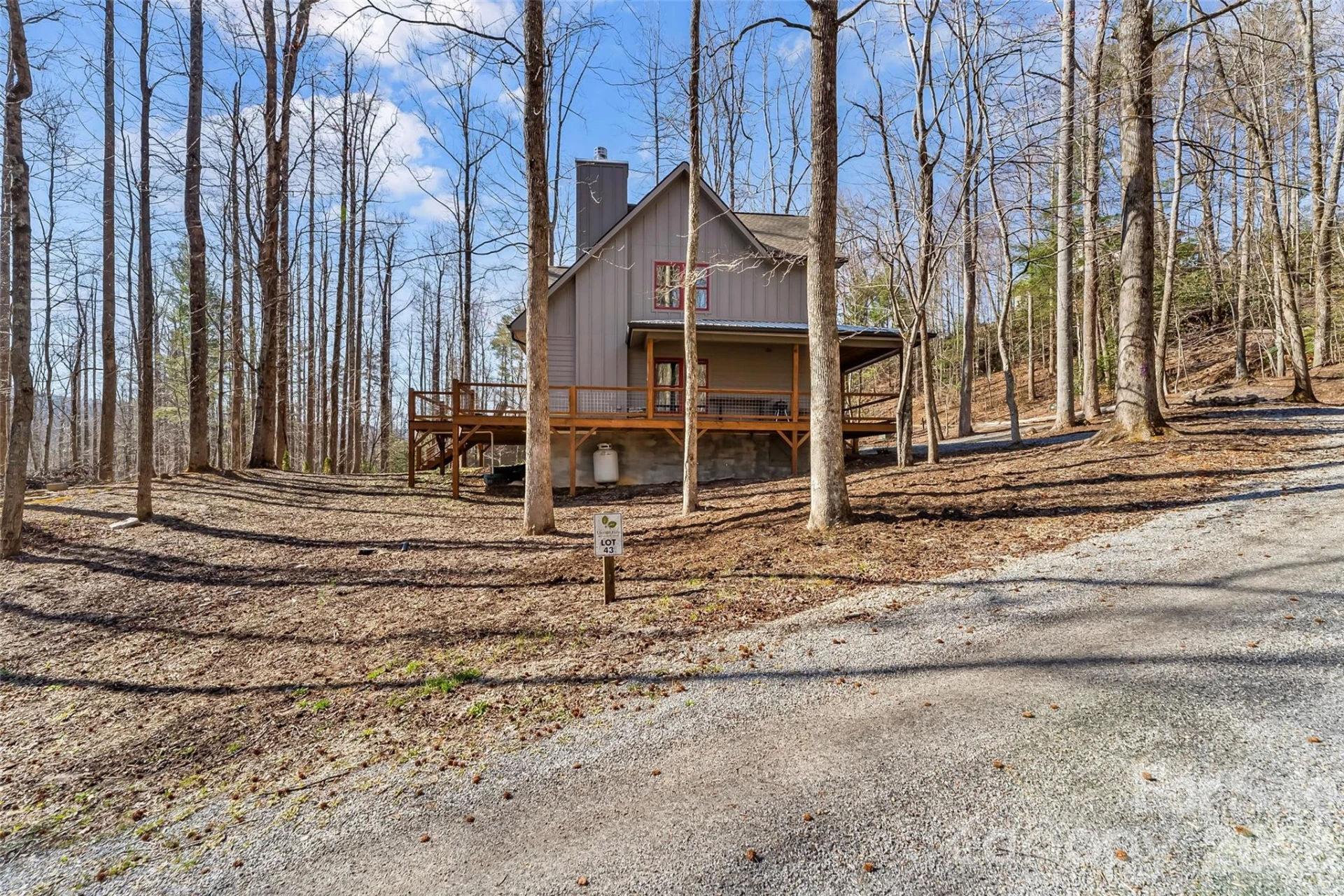 43 Clinchfield Gap Road - Photo 41