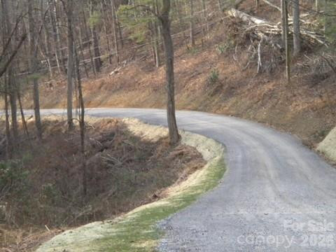 67 Earwood Ridge Road - Photo 15