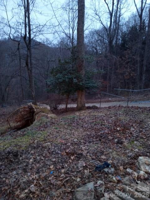 67 Earwood Ridge Road - Photo 16