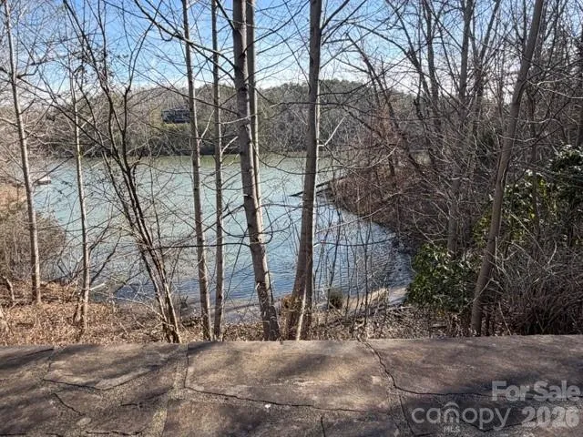 37 Peninsula Drive, Mill Spring, NC, 28756