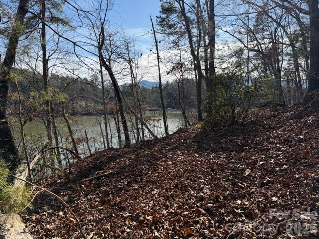 37 Peninsula Drive - Photo 2