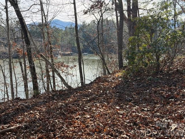 37 Peninsula Drive - Photo 4