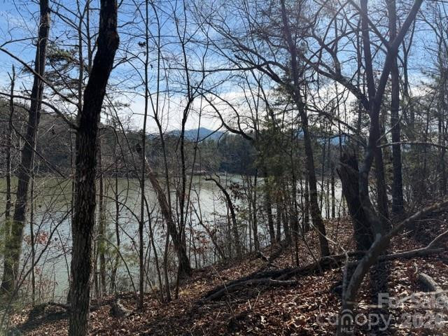 37 Peninsula Drive - Photo 6