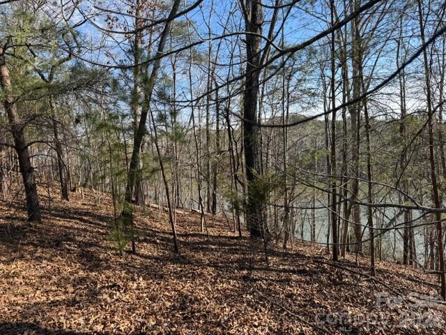 37 Peninsula Drive - Photo 7