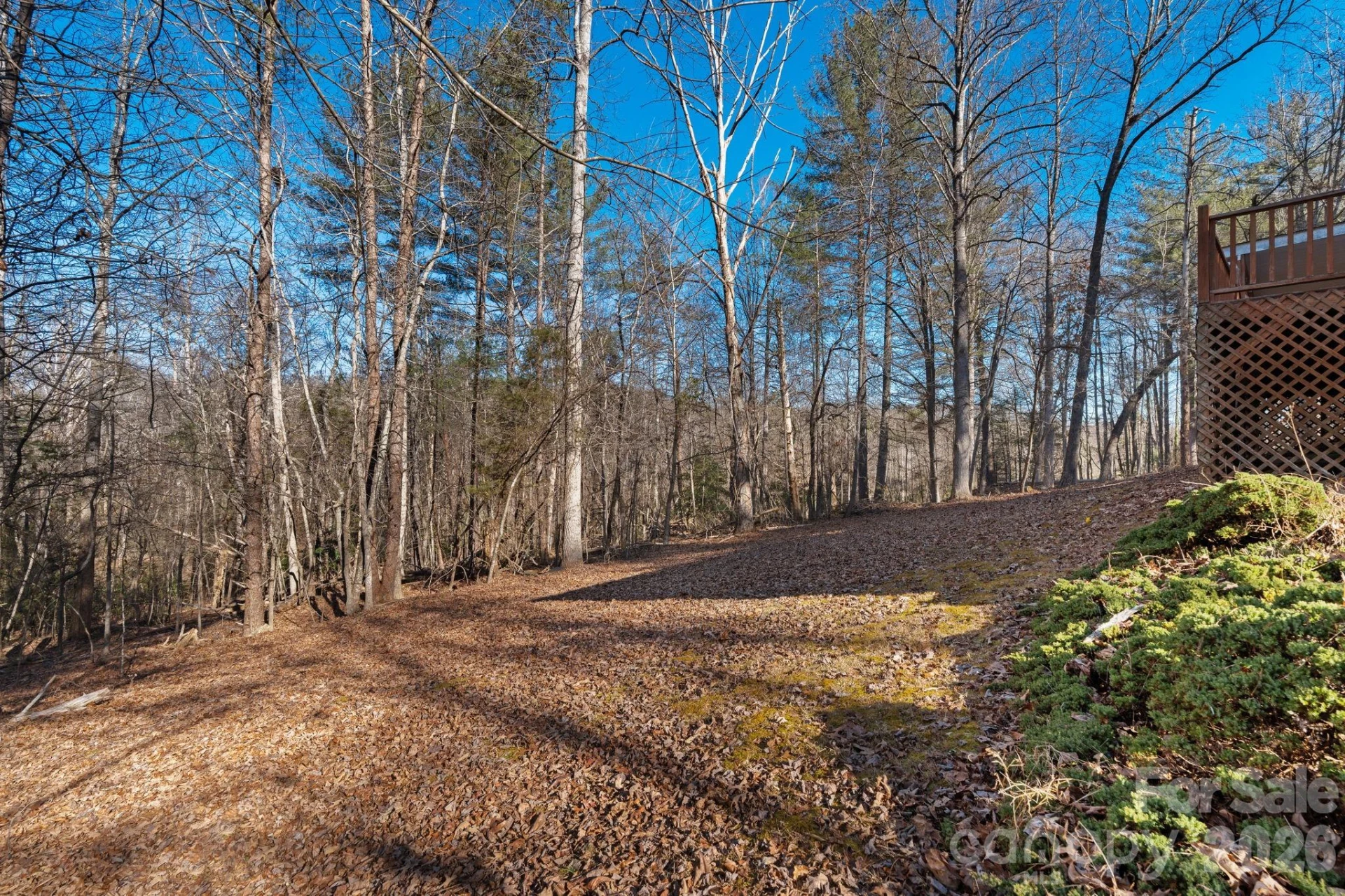 3435 Nelson Lane - Photo 26