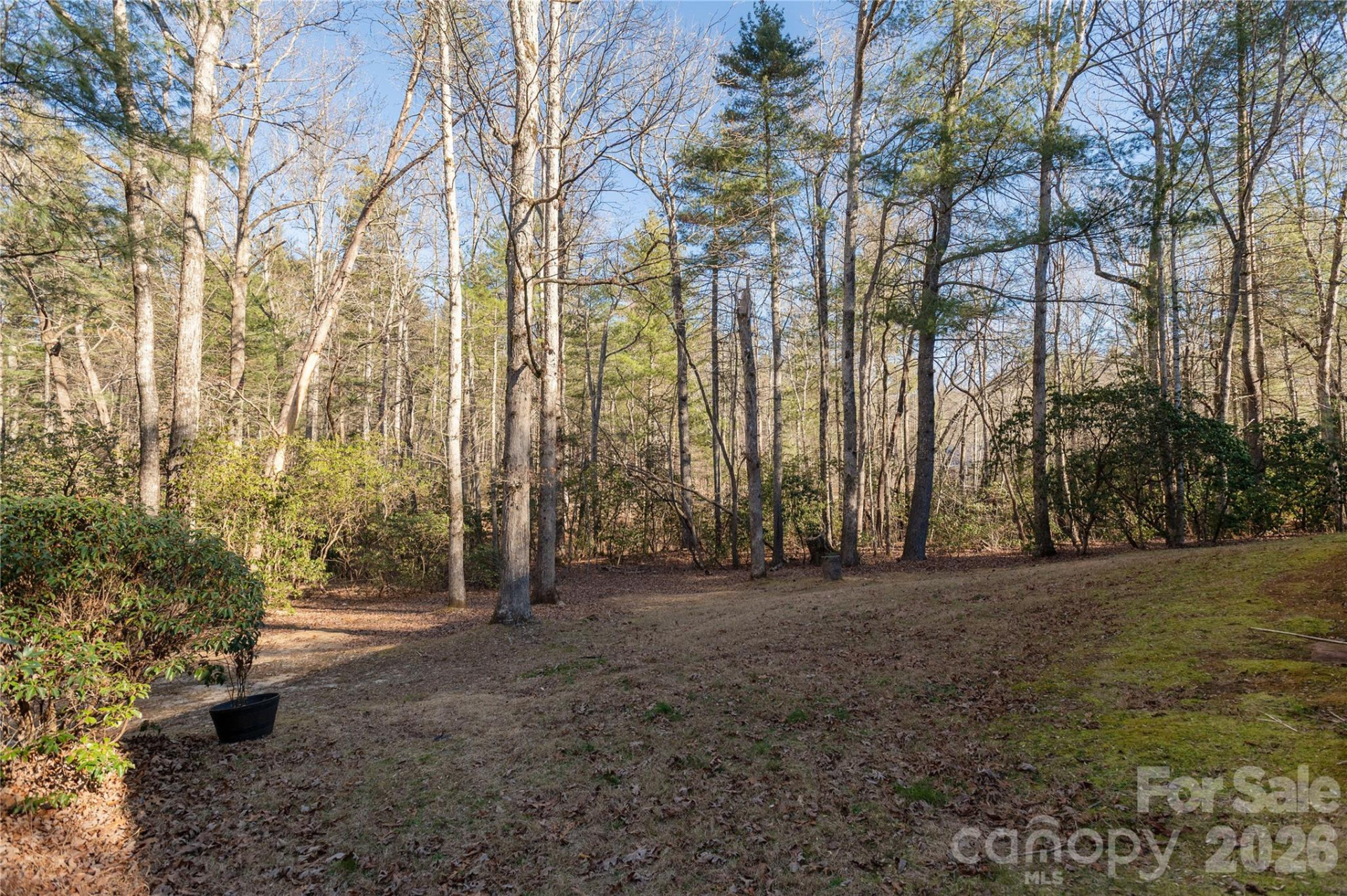 55 English Ivy Lane - Photo 19