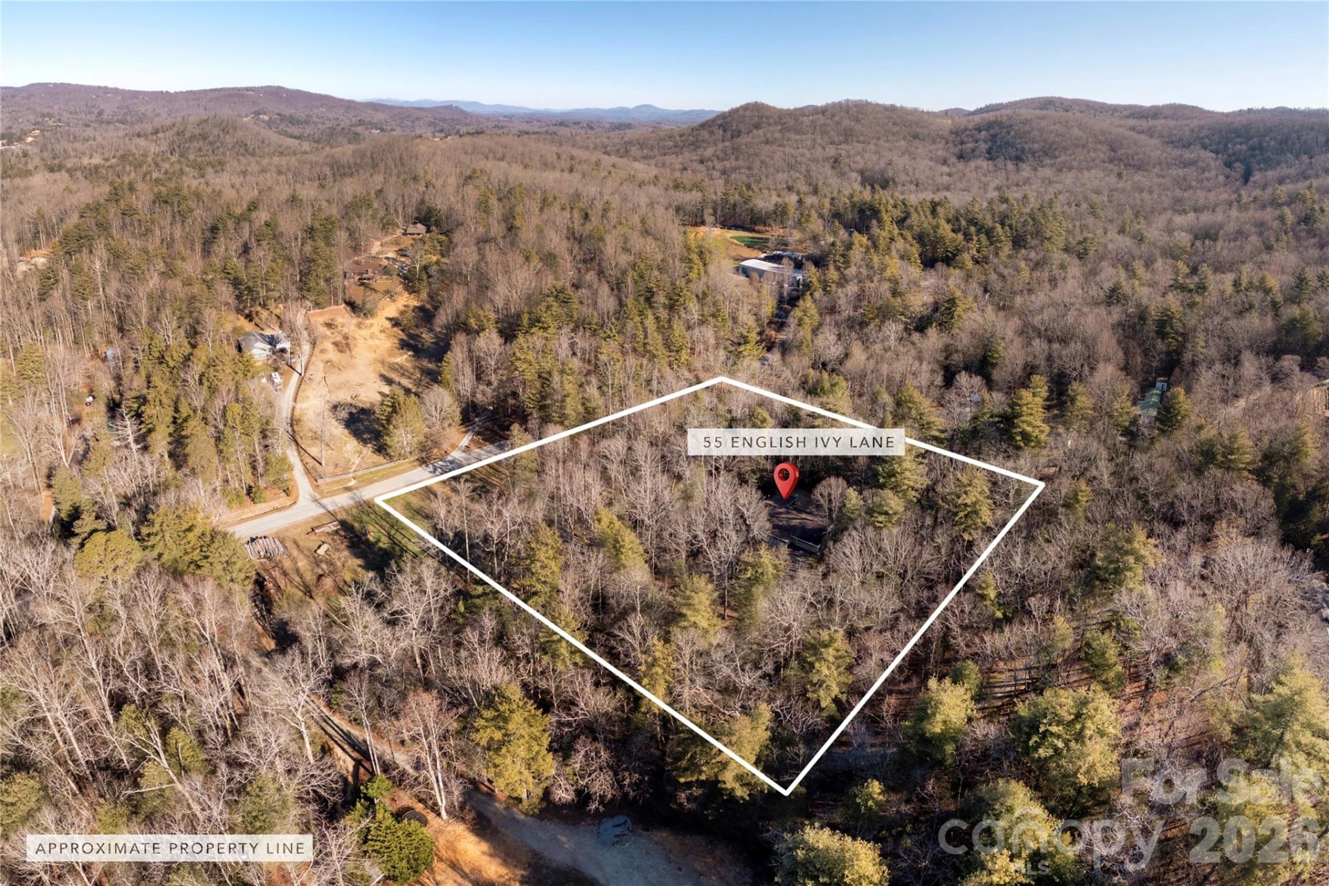 55 English Ivy Lane - Photo 21