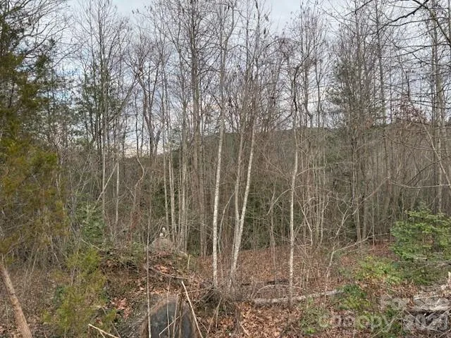 0 Old Nc 18 Highway