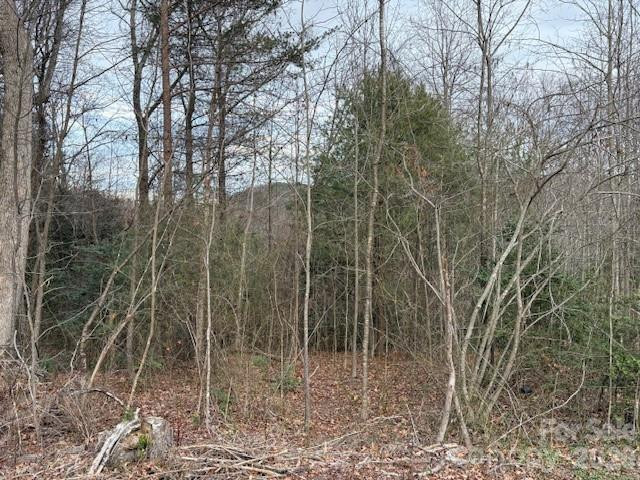 0 Old Nc 18 Highway - Photo 2