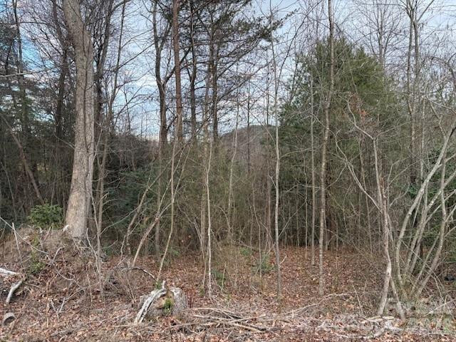 0 Old Nc 18 Highway - Photo 3