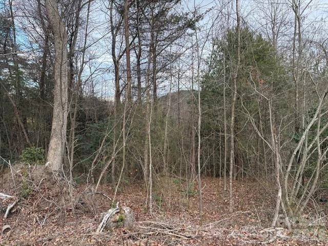 0 Old Nc 18 Highway - Photo 3