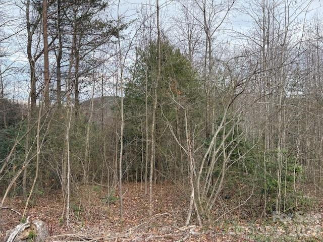 0 Old Nc 18 Highway - Photo 4