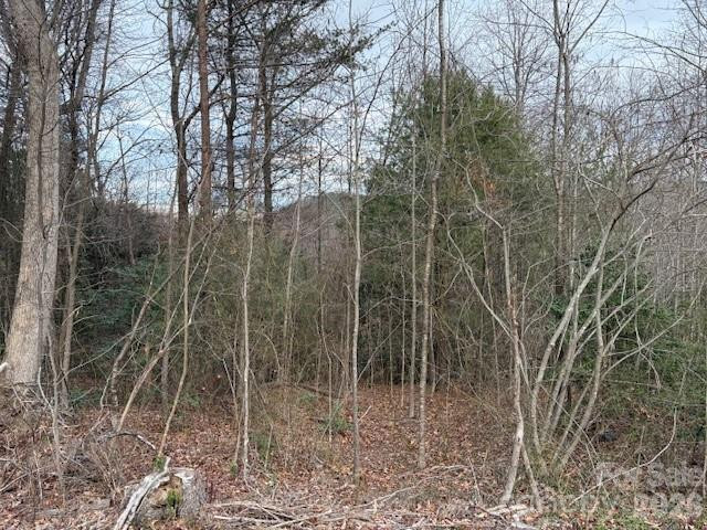 0 Old Nc 18 Highway - Photo 5