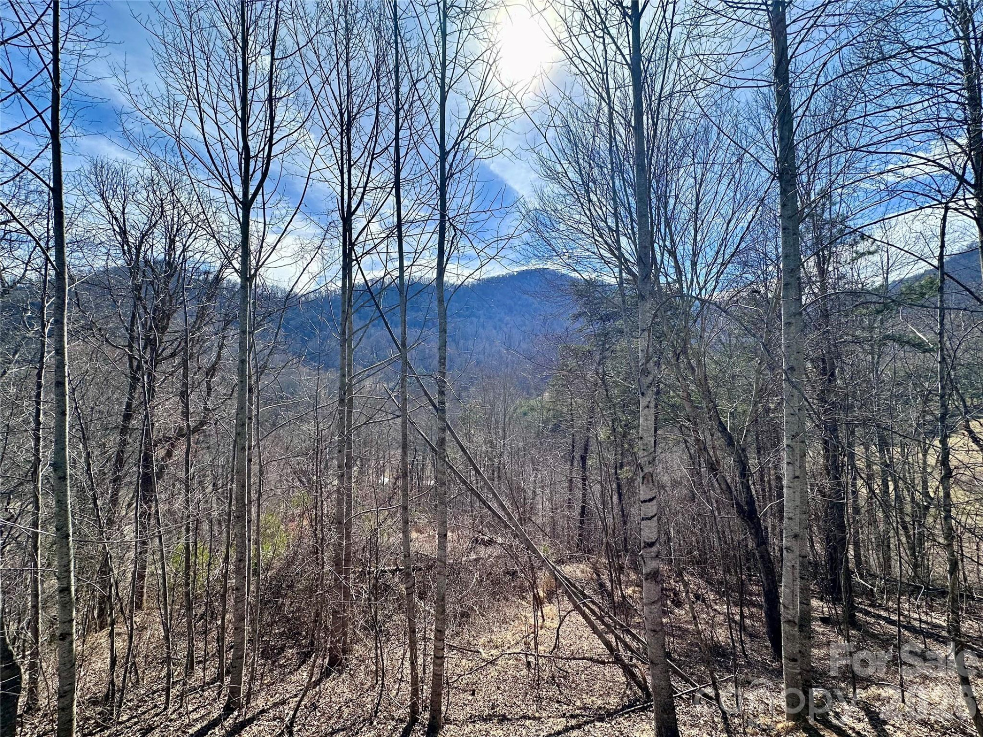 40 Shook Cove Road - Photo 2