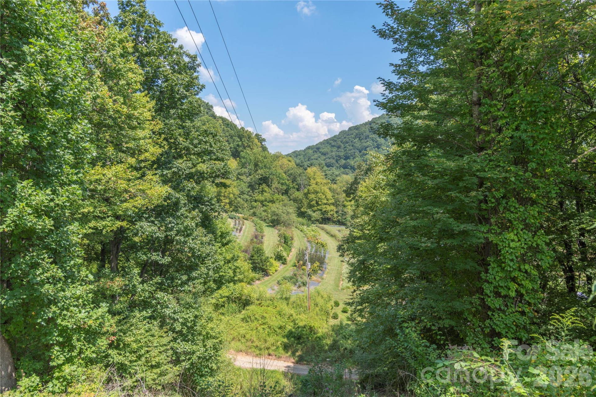 40 Shook Cove Road - Photo 48