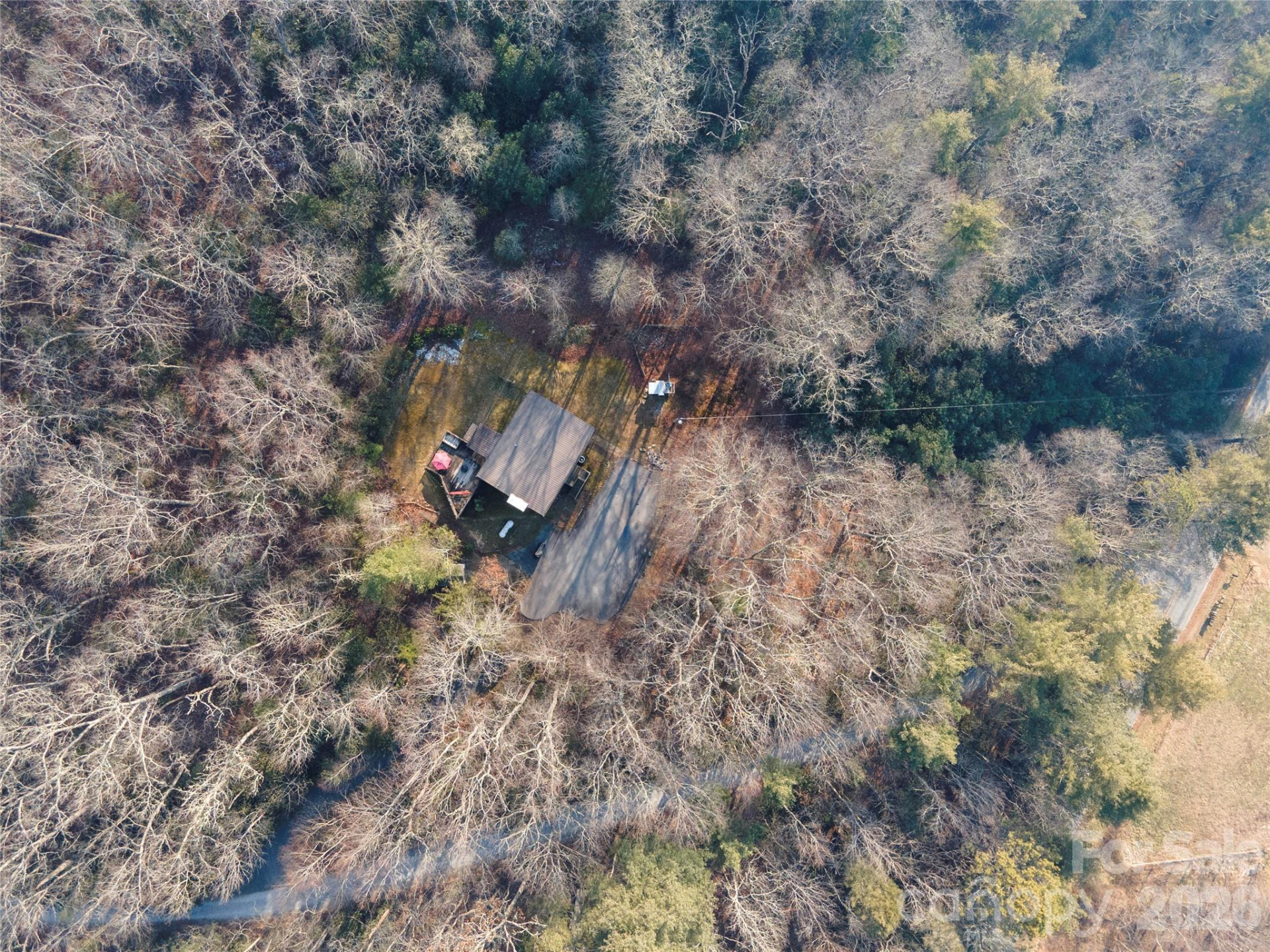 84 Forest Trail - Photo 44