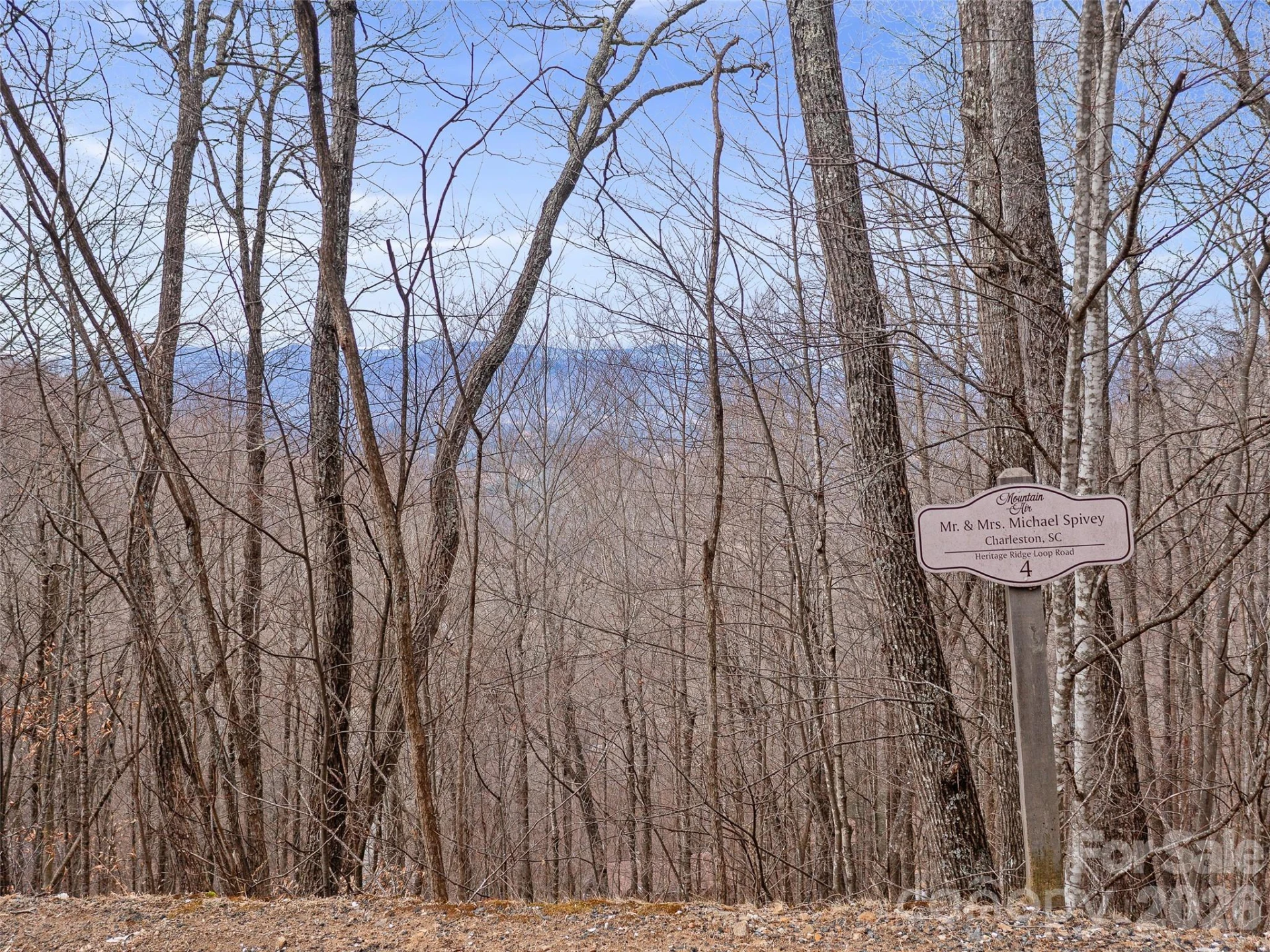 Lot 4 Heritage Ridge Loop - Photo 2
