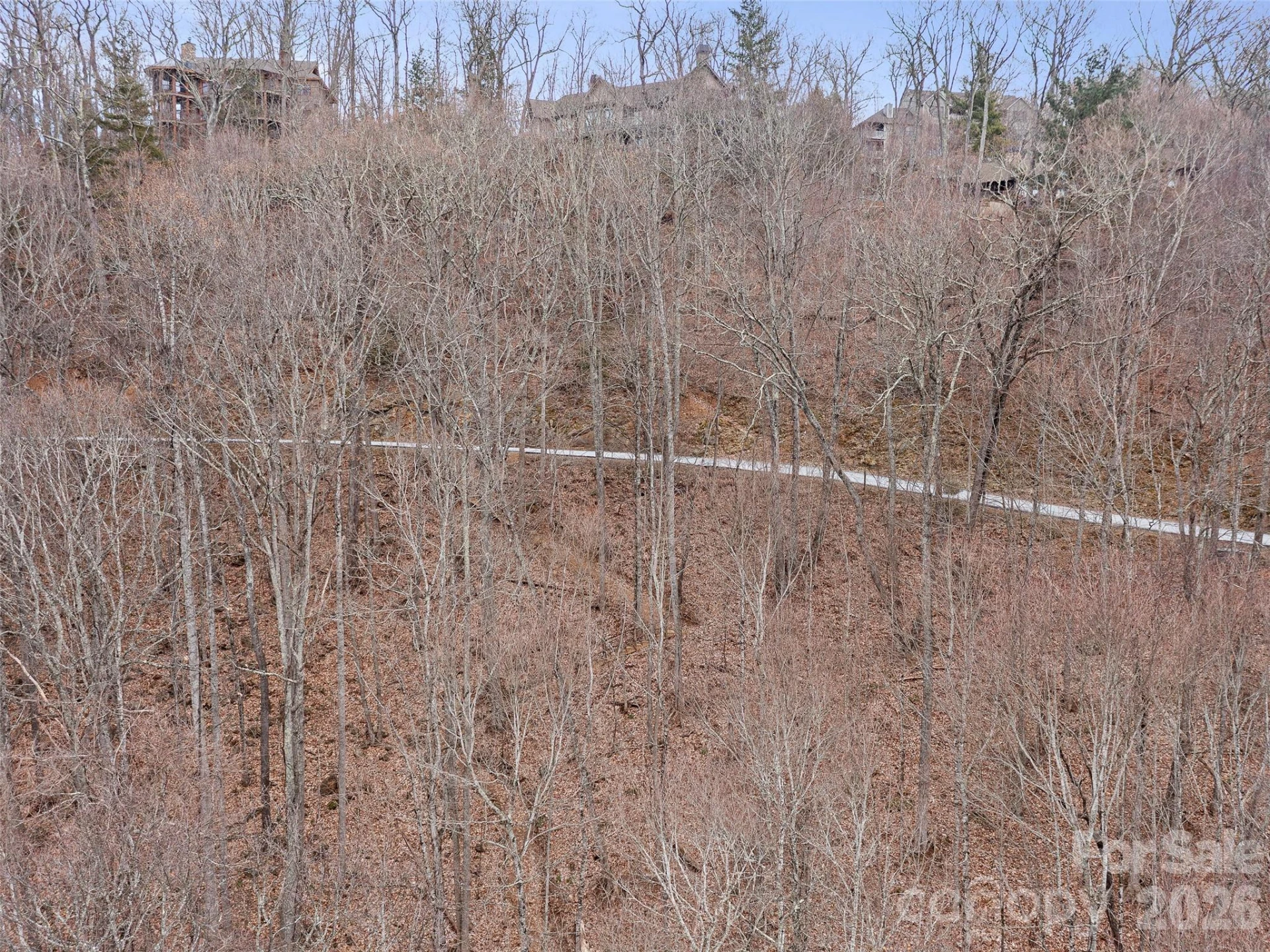 Lot 4 Heritage Ridge Loop - Photo 16