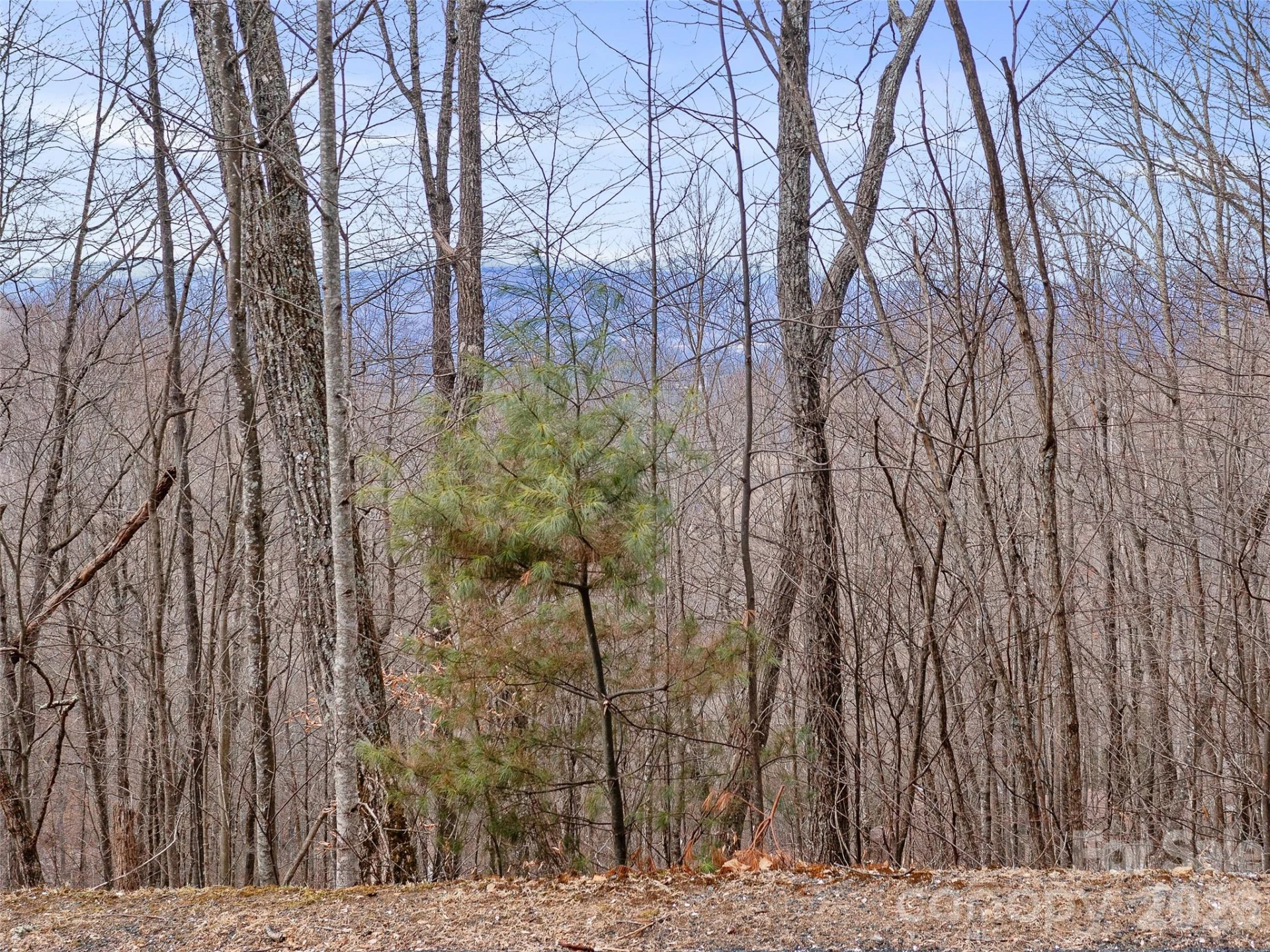 Lot 4 Heritage Ridge Loop - Photo 4