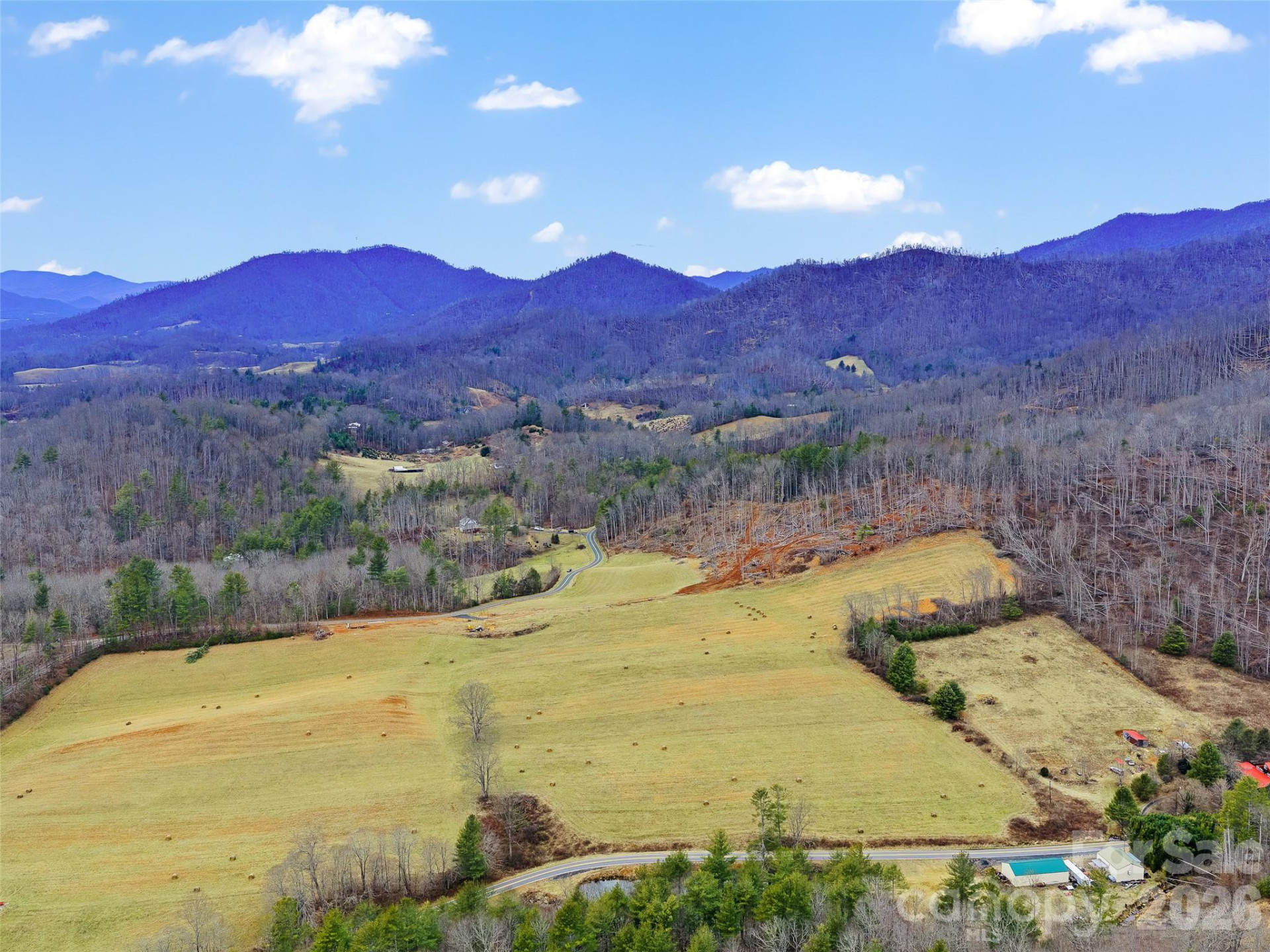 784 Green Young Cemetery Road - Photo 11