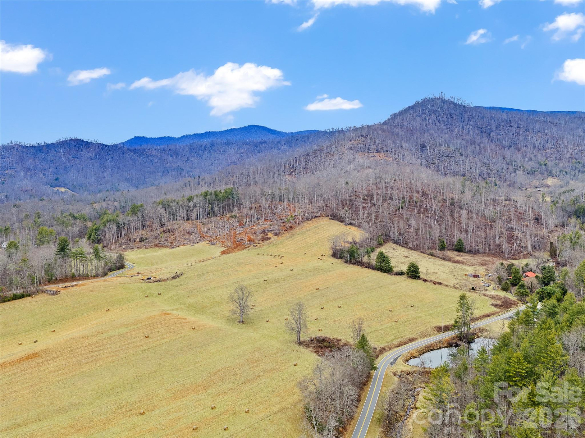 784 Green Young Cemetery Road - Photo 12