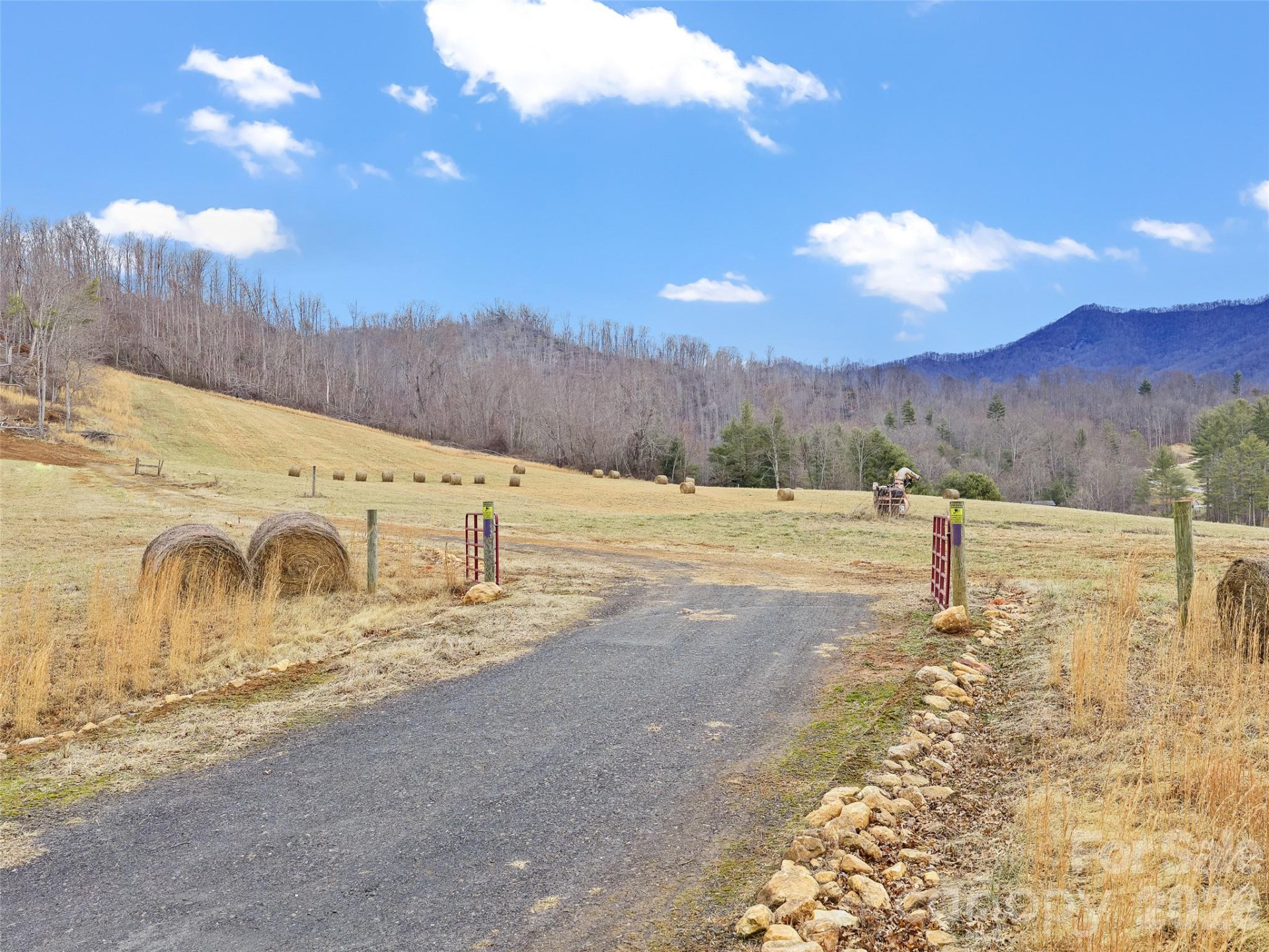 784 Green Young Cemetery Road - Photo 17