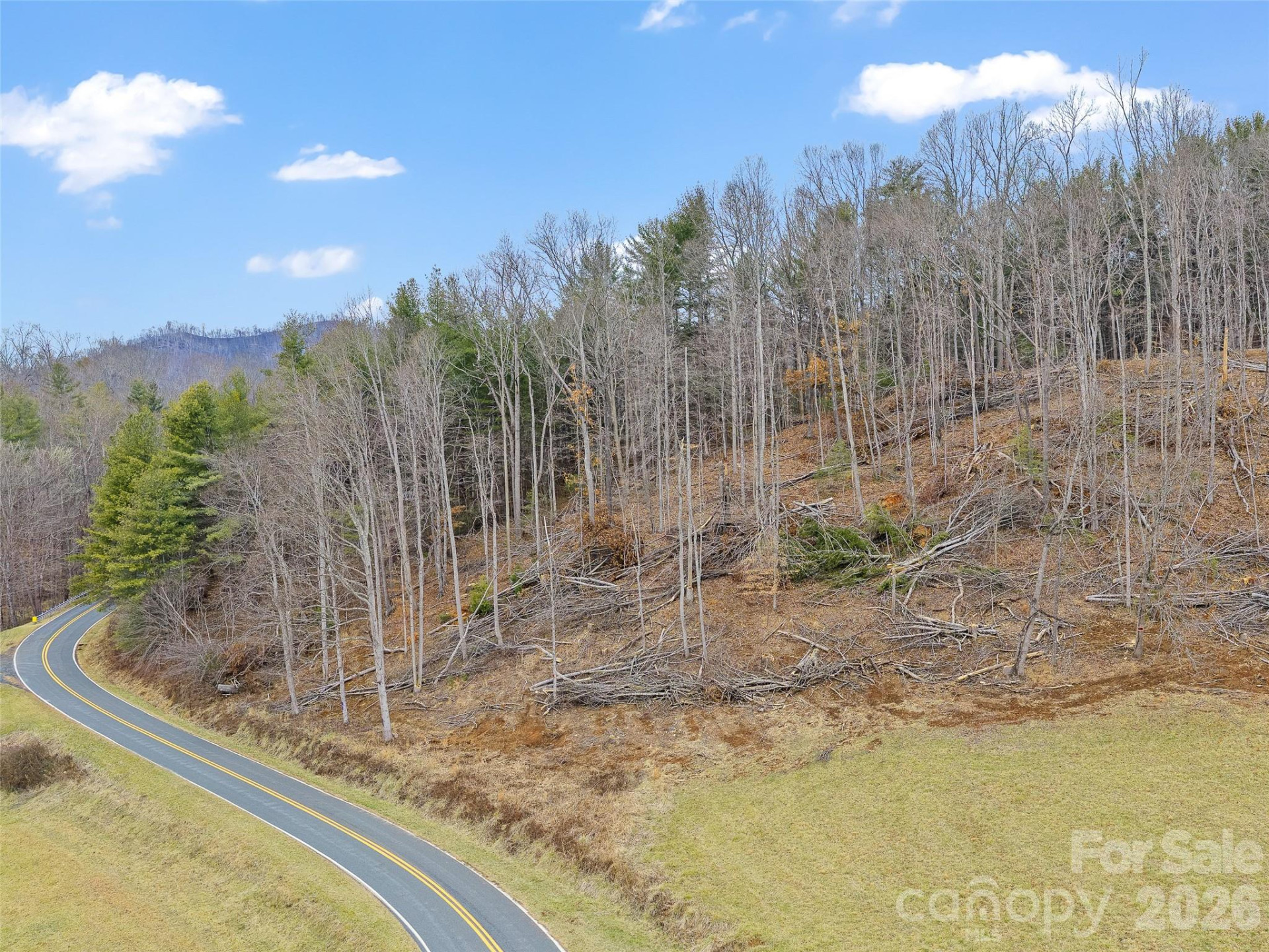 784 Green Young Cemetery Road - Photo 19