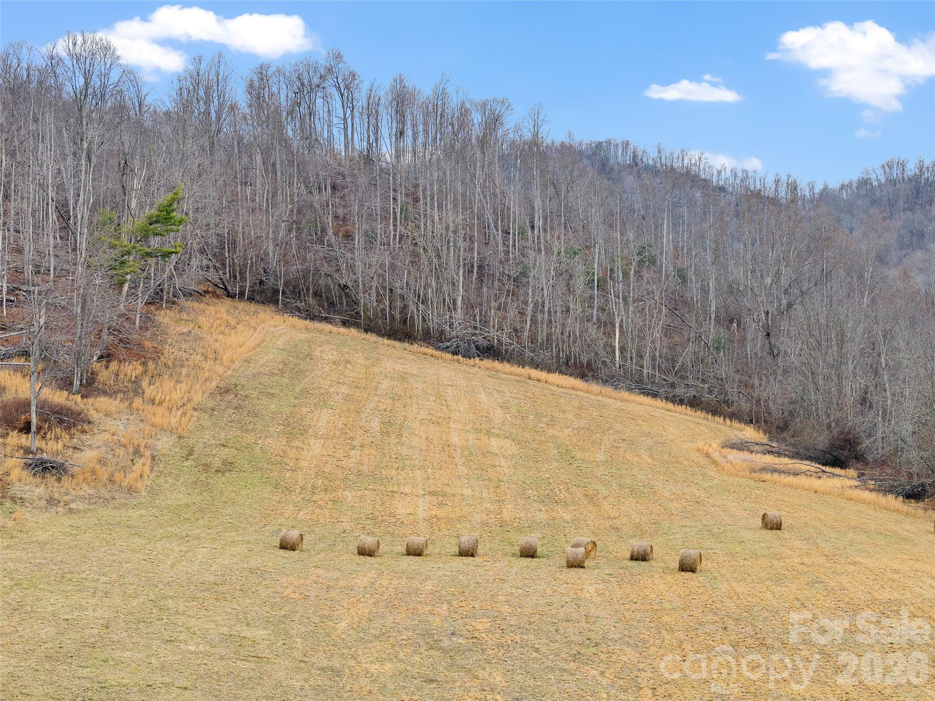 784 Green Young Cemetery Road - Photo 3