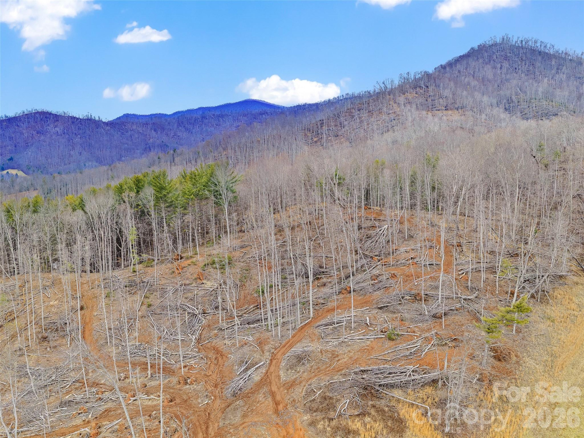 784 Green Young Cemetery Road - Photo 21