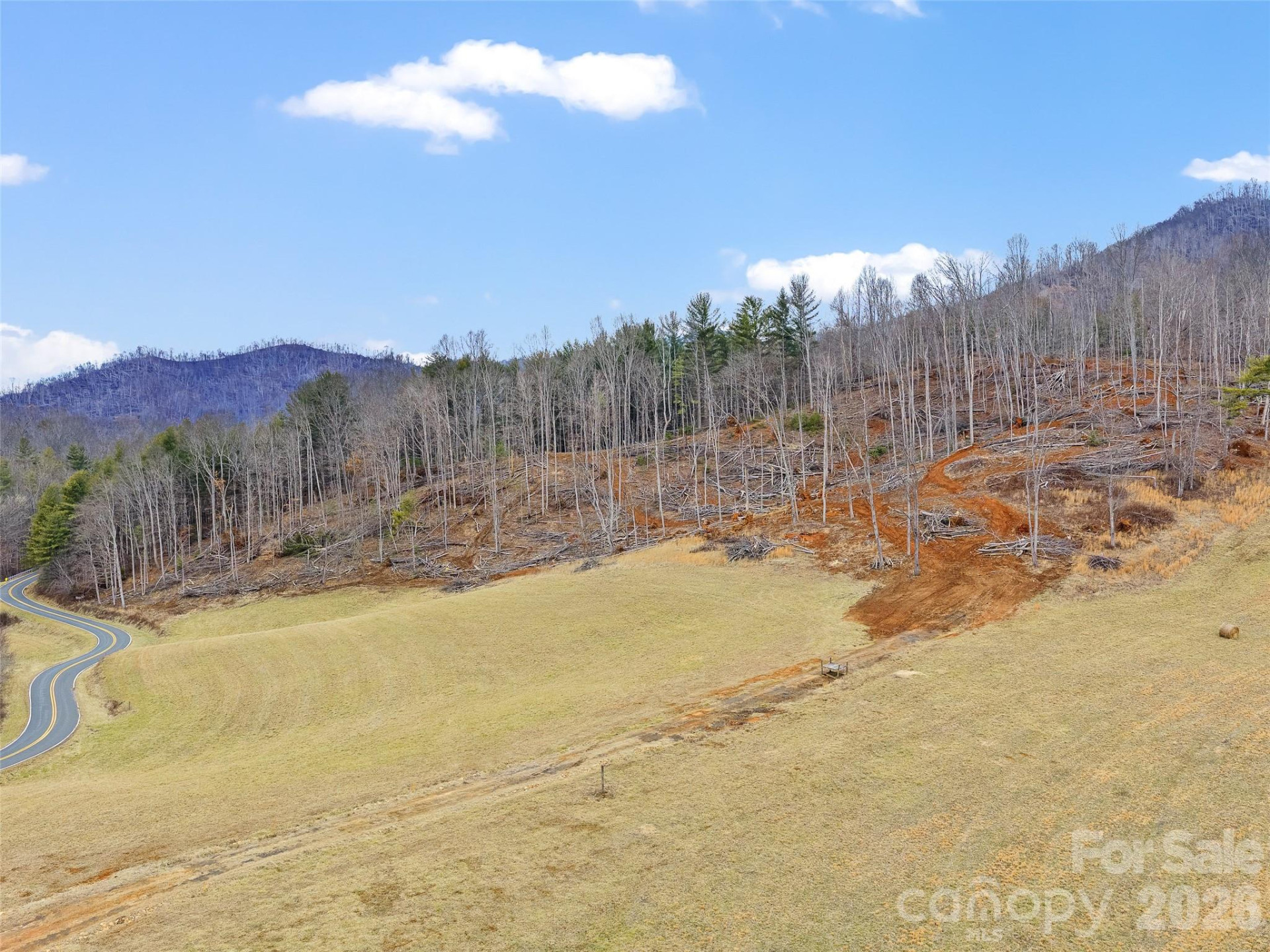 784 Green Young Cemetery Road - Photo 25