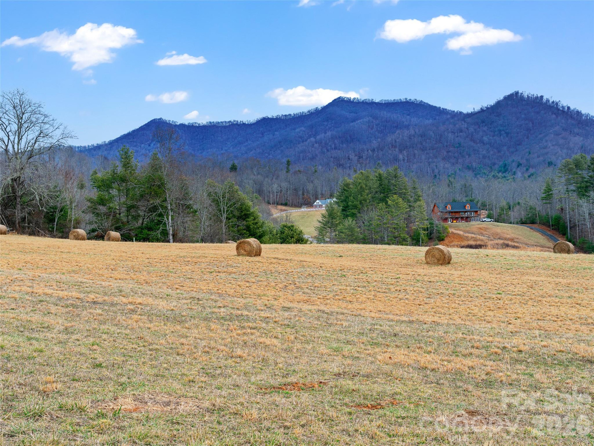 784 Green Young Cemetery Road - Photo 30