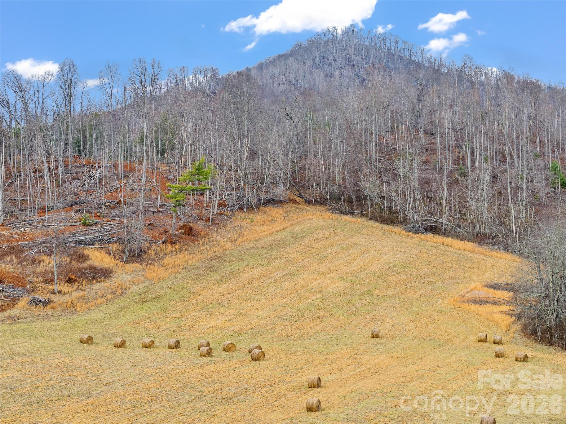 784 Green Young Cemetery Road - Photo 4