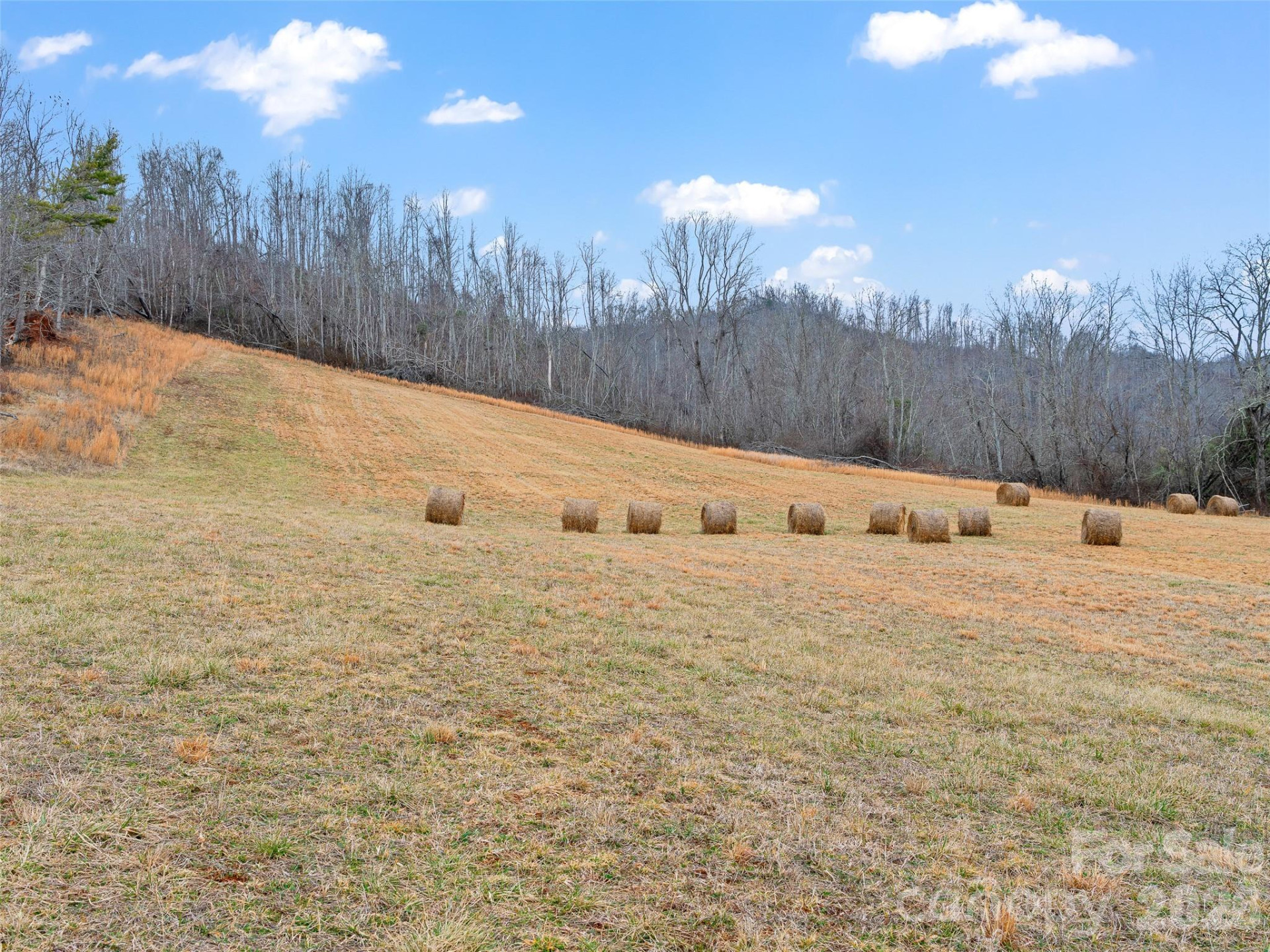 784 Green Young Cemetery Road - Photo 31