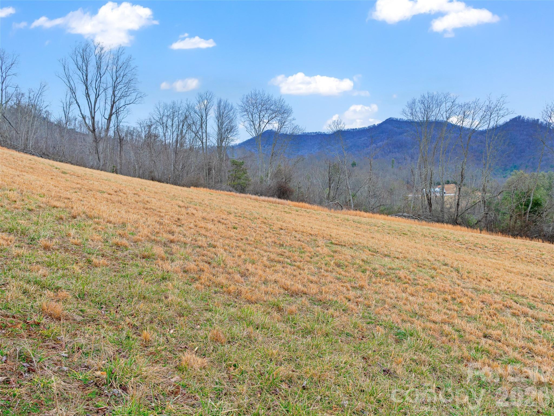 784 Green Young Cemetery Road - Photo 34