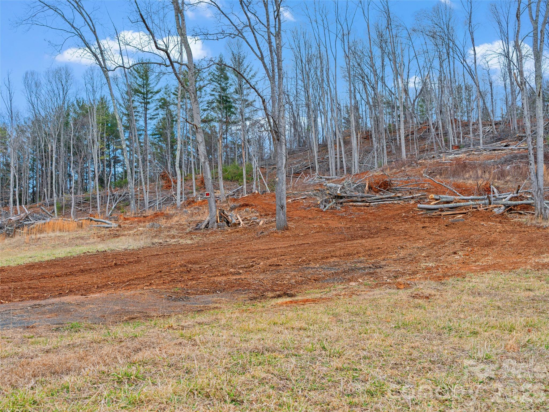 784 Green Young Cemetery Road - Photo 36