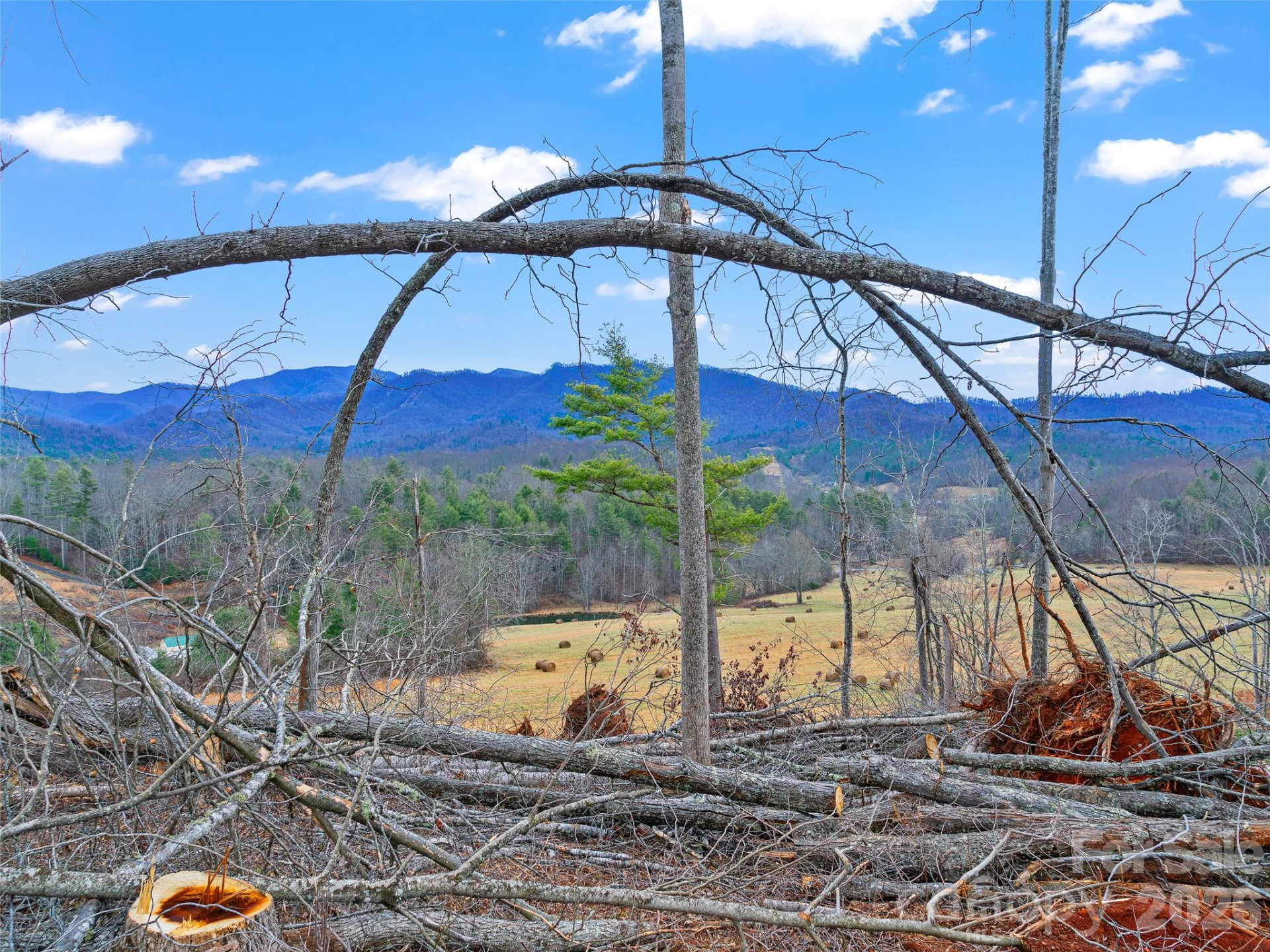 784 Green Young Cemetery Road - Photo 38