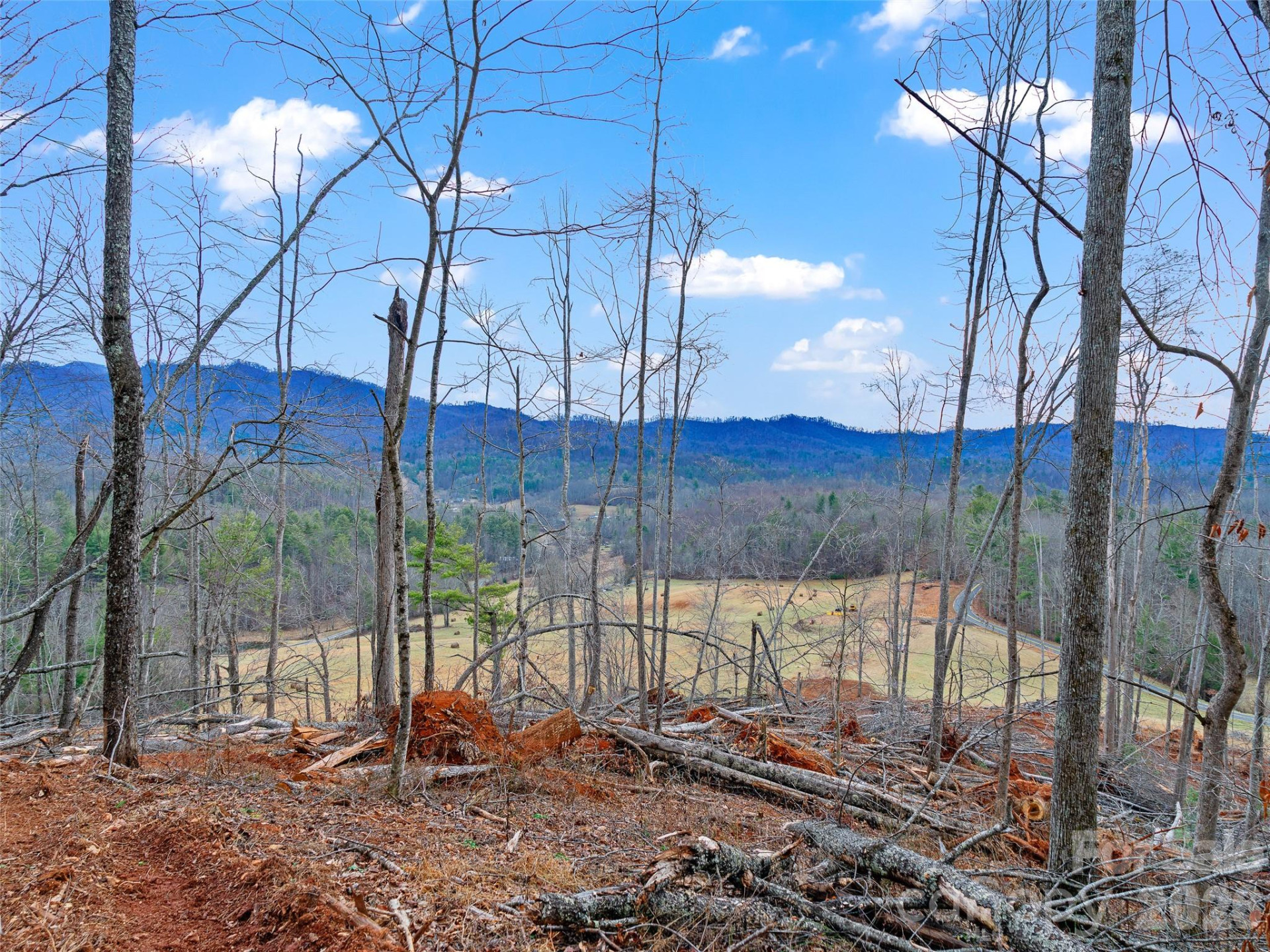 784 Green Young Cemetery Road - Photo 39