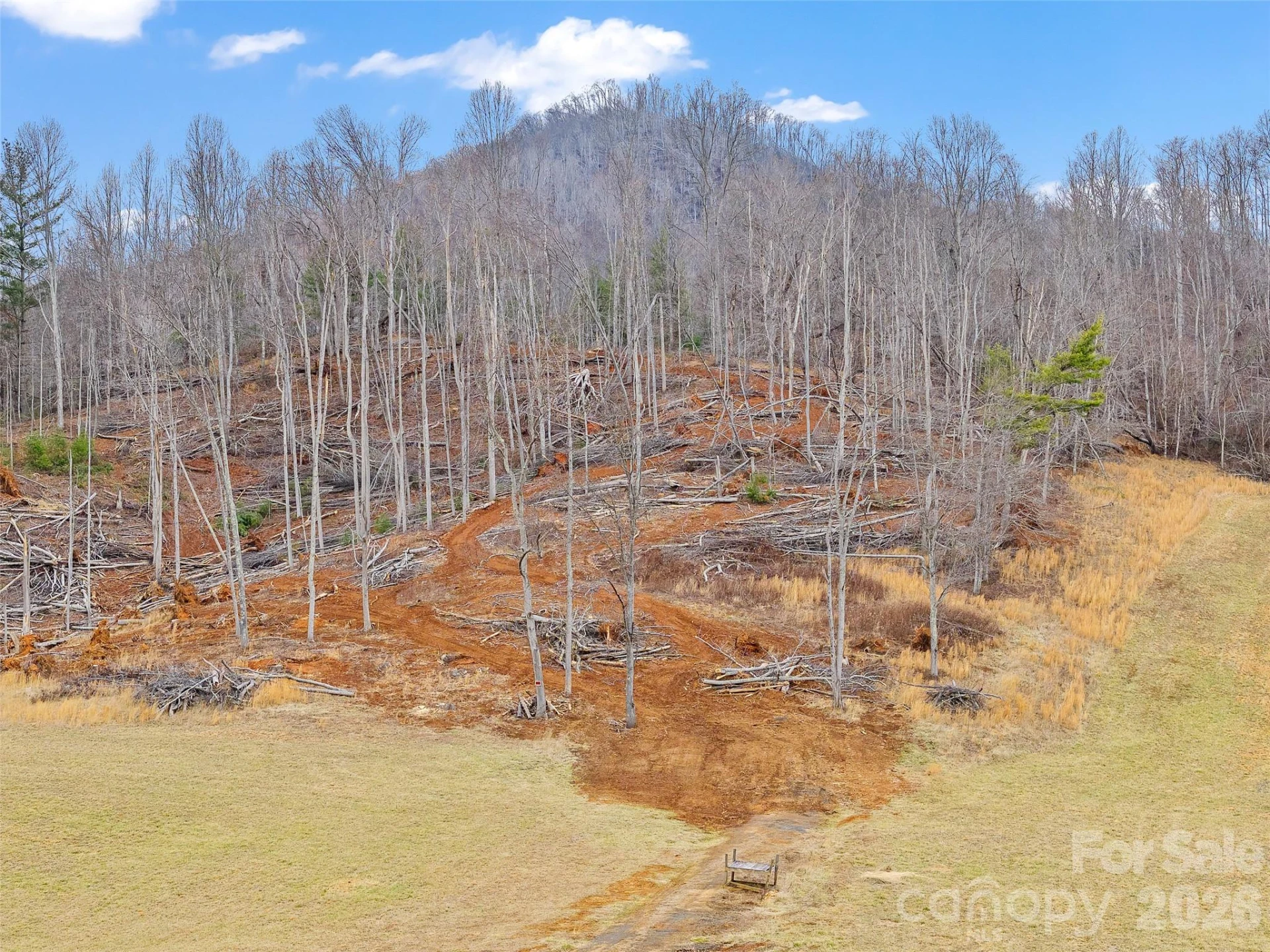 784 Green Young Cemetery Road - Photo 5