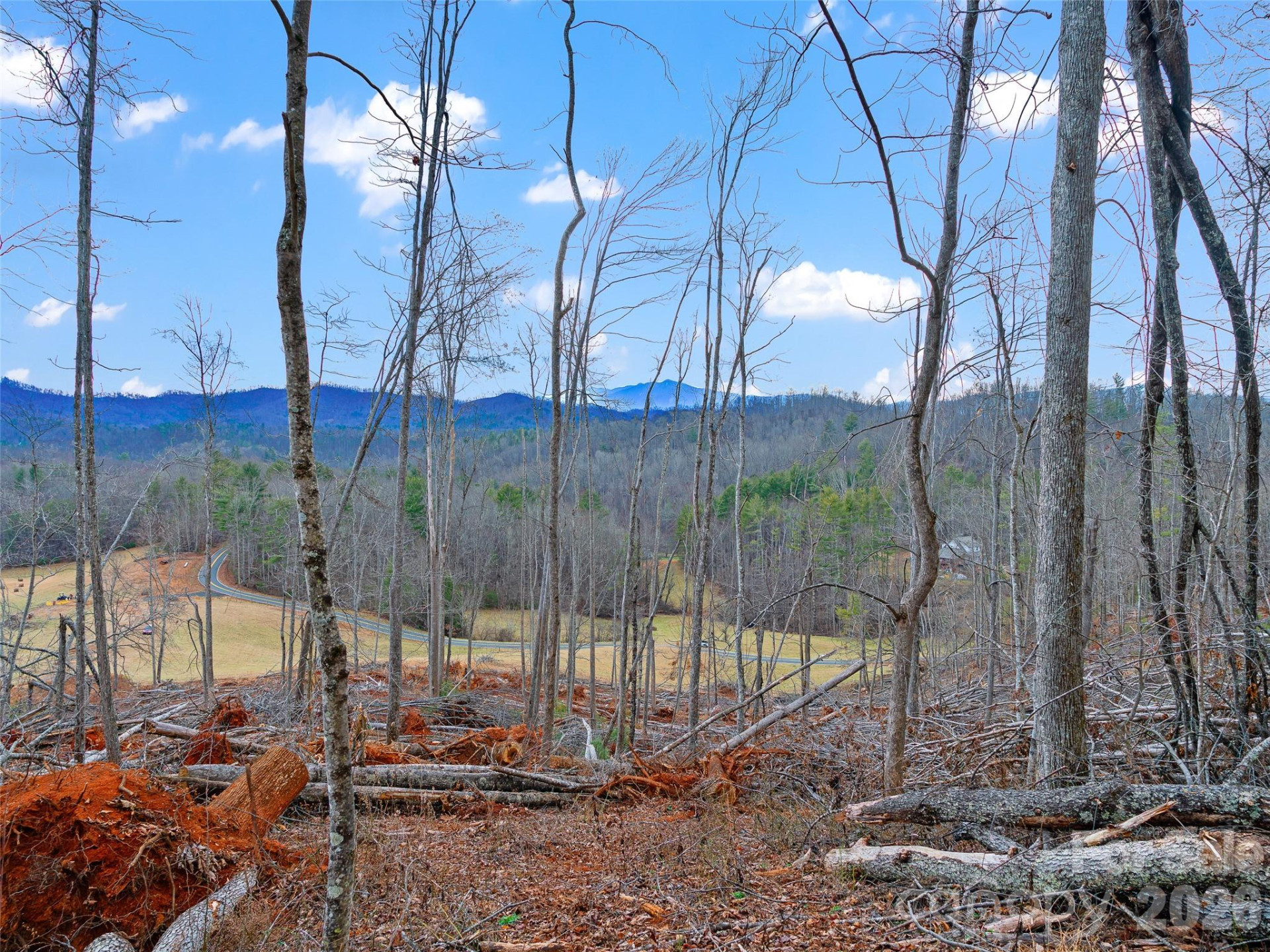 784 Green Young Cemetery Road - Photo 41