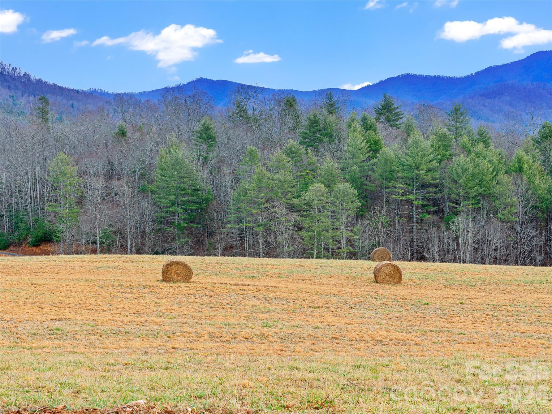 784 Green Young Cemetery Road - Photo 43