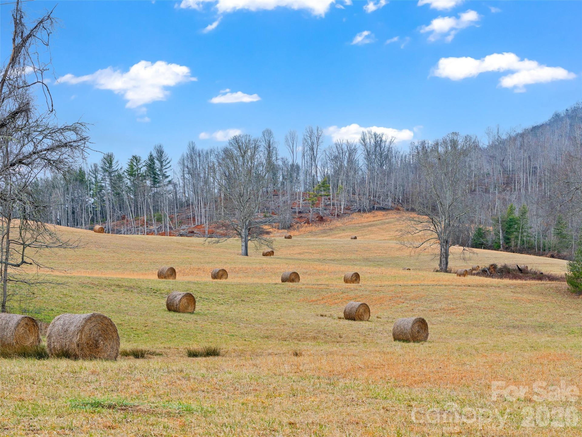 784 Green Young Cemetery Road - Photo 46