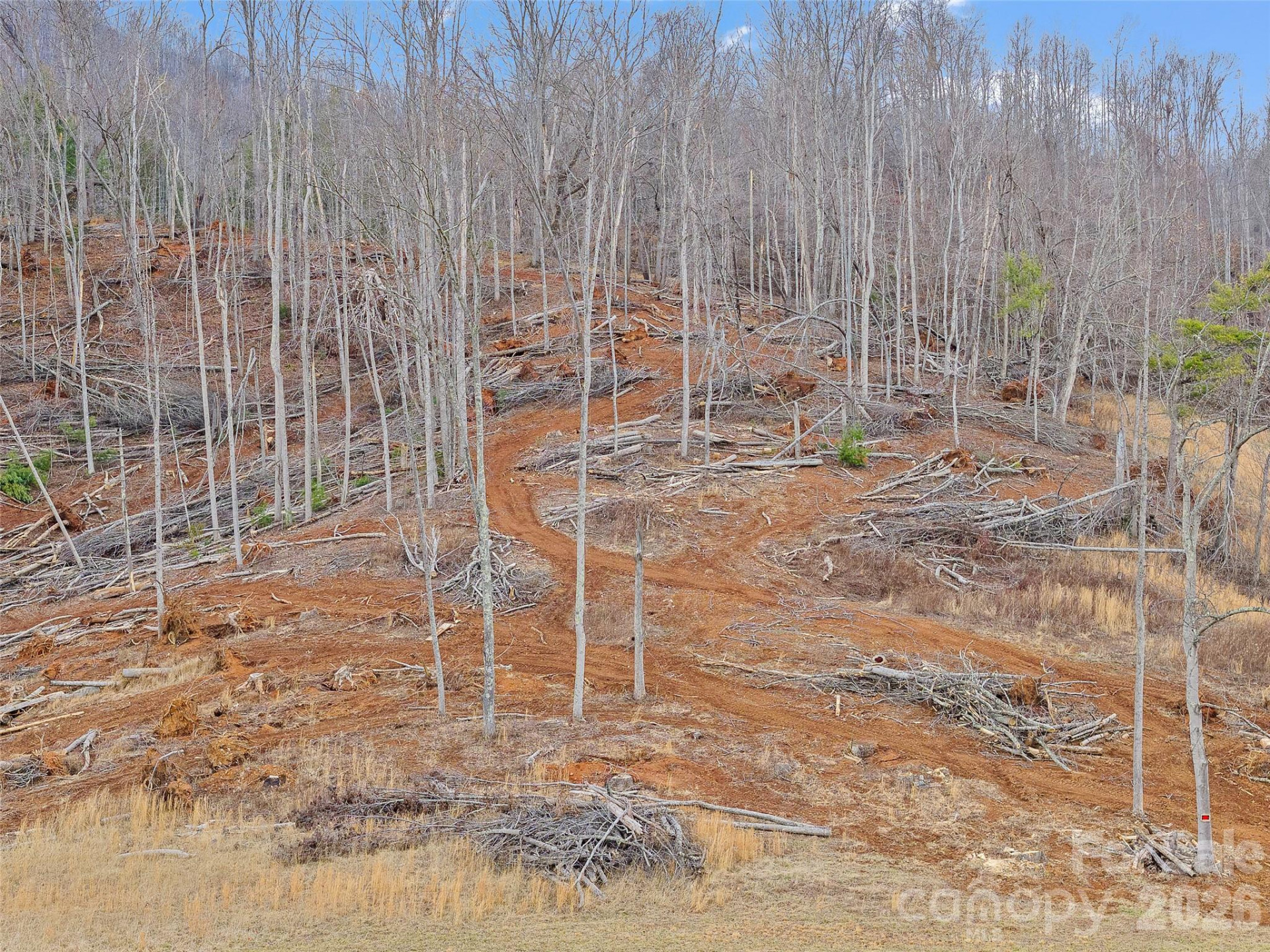 784 Green Young Cemetery Road - Photo 6