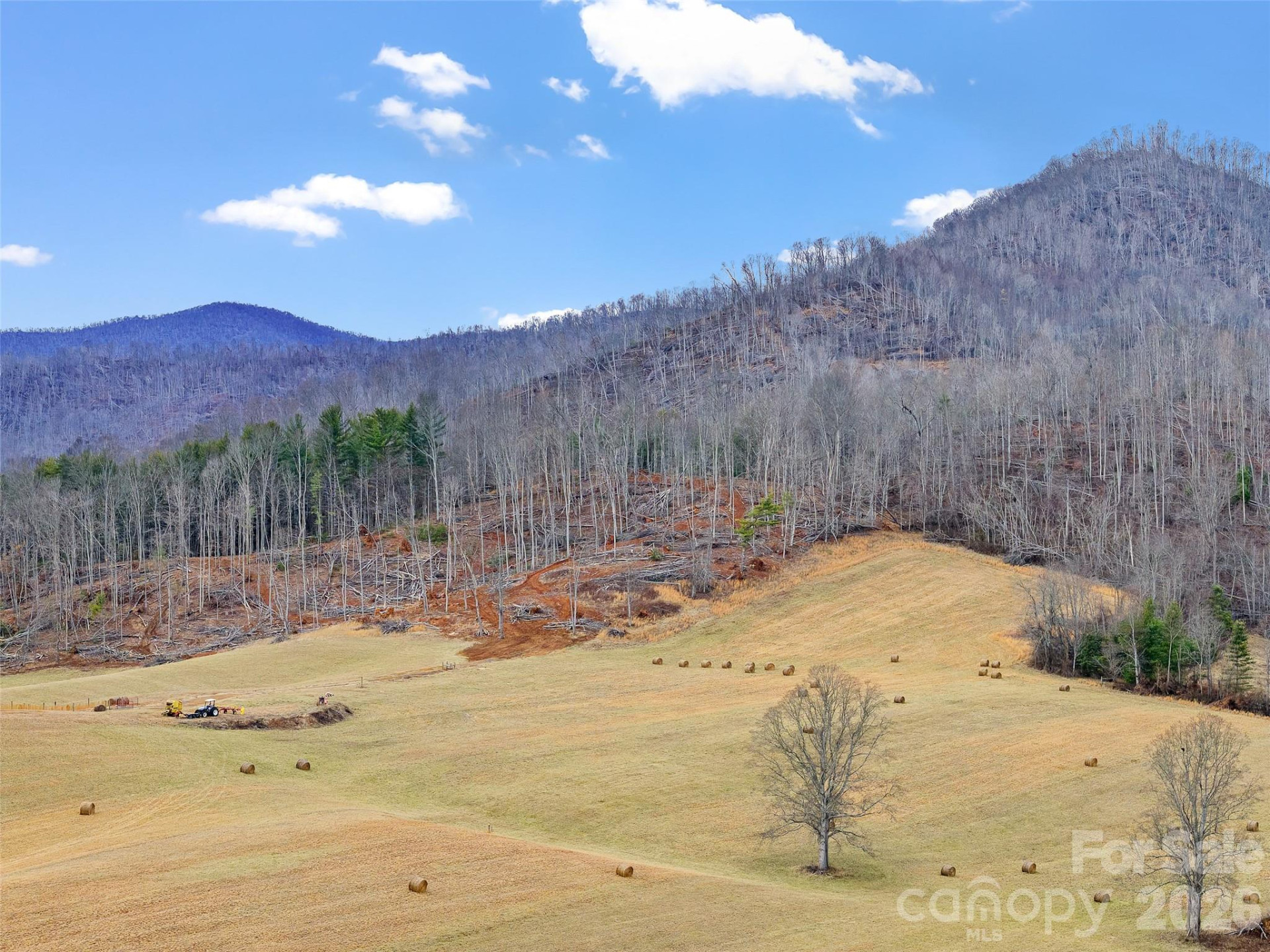 784 Green Young Cemetery Road - Photo 7