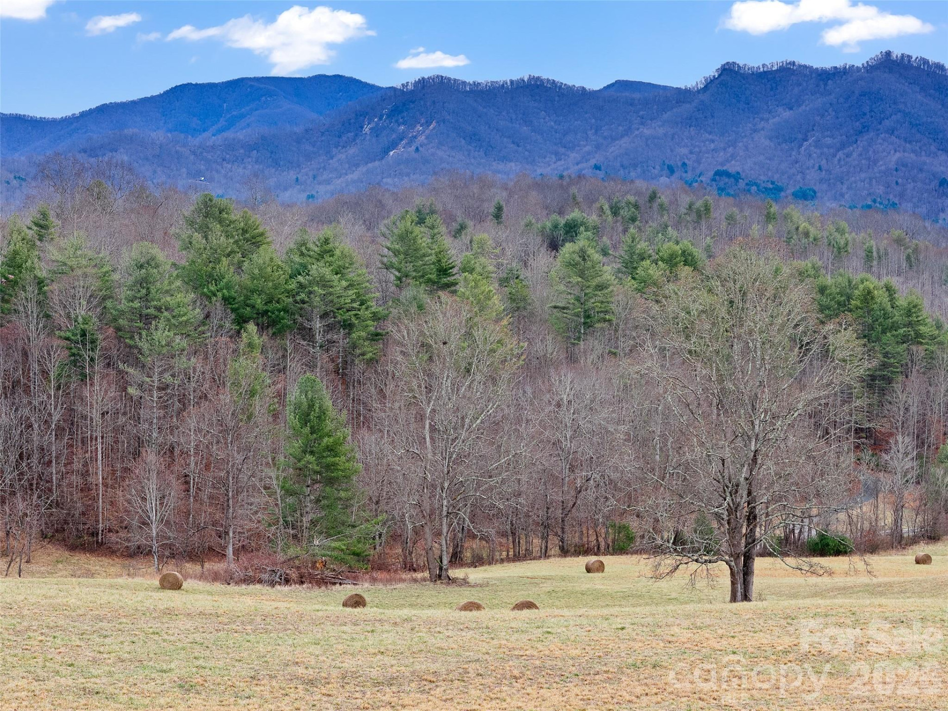 784 Green Young Cemetery Road - Photo 8