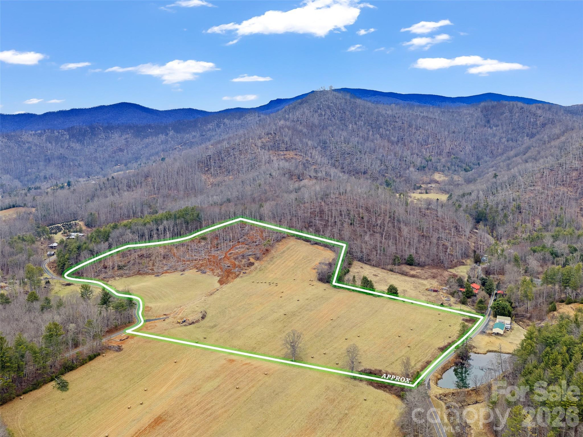 784 Green Young Cemetery Road - Photo 10