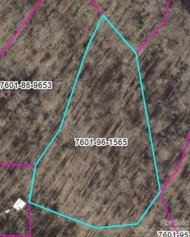 TR B Barkers Creek Road, Whittier, NC, 28789