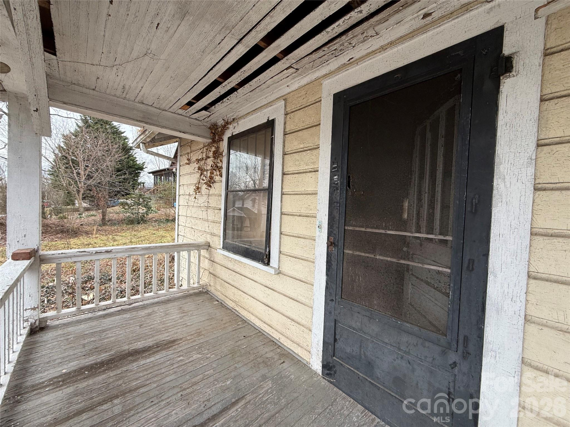 24 Dysart Street - Photo 22