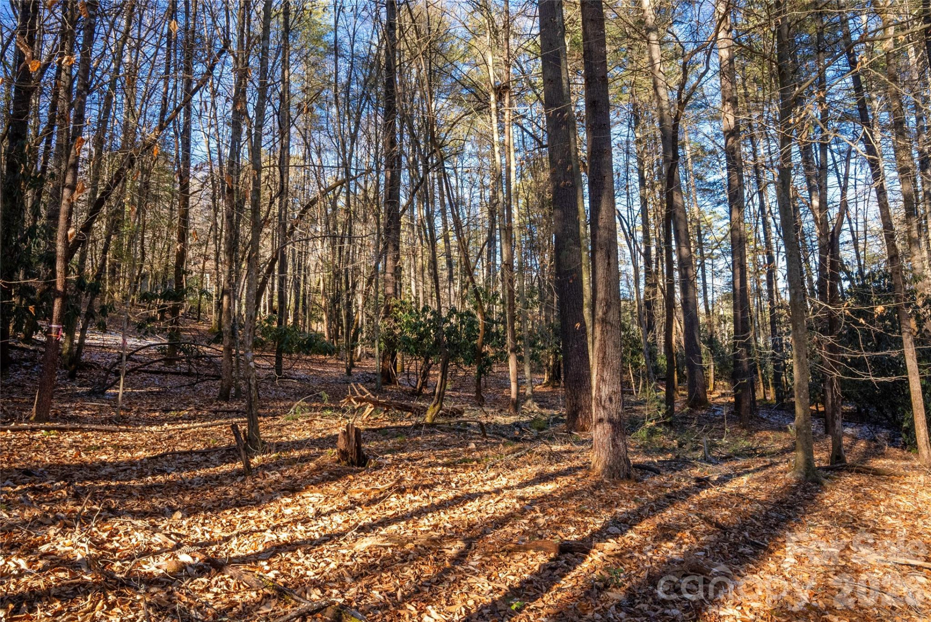 L11 Deerlake Road #11