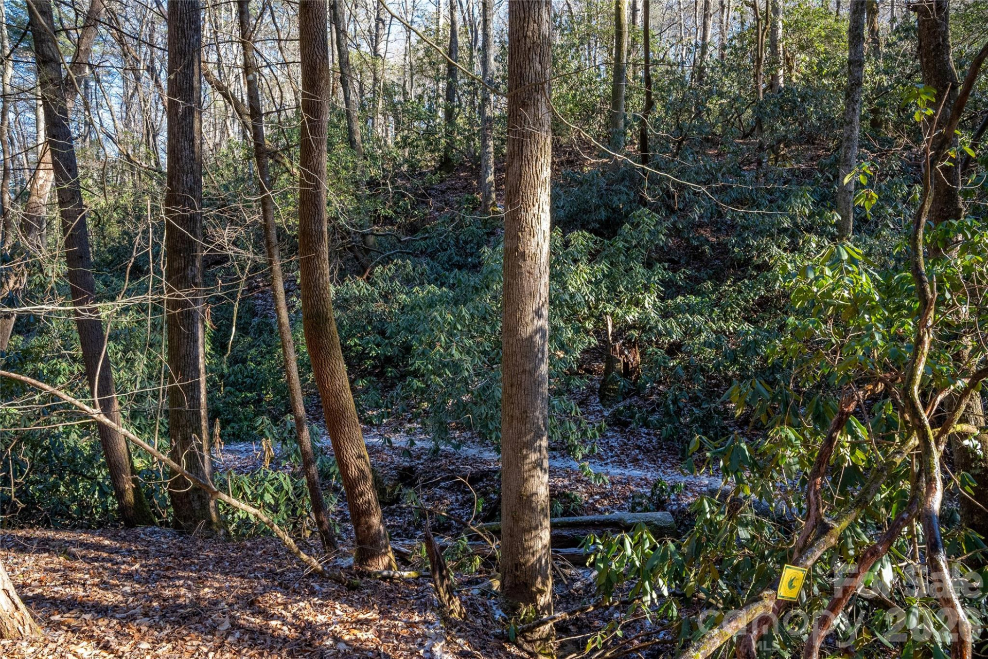 L11 Deerlake Road #11 - Photo 14