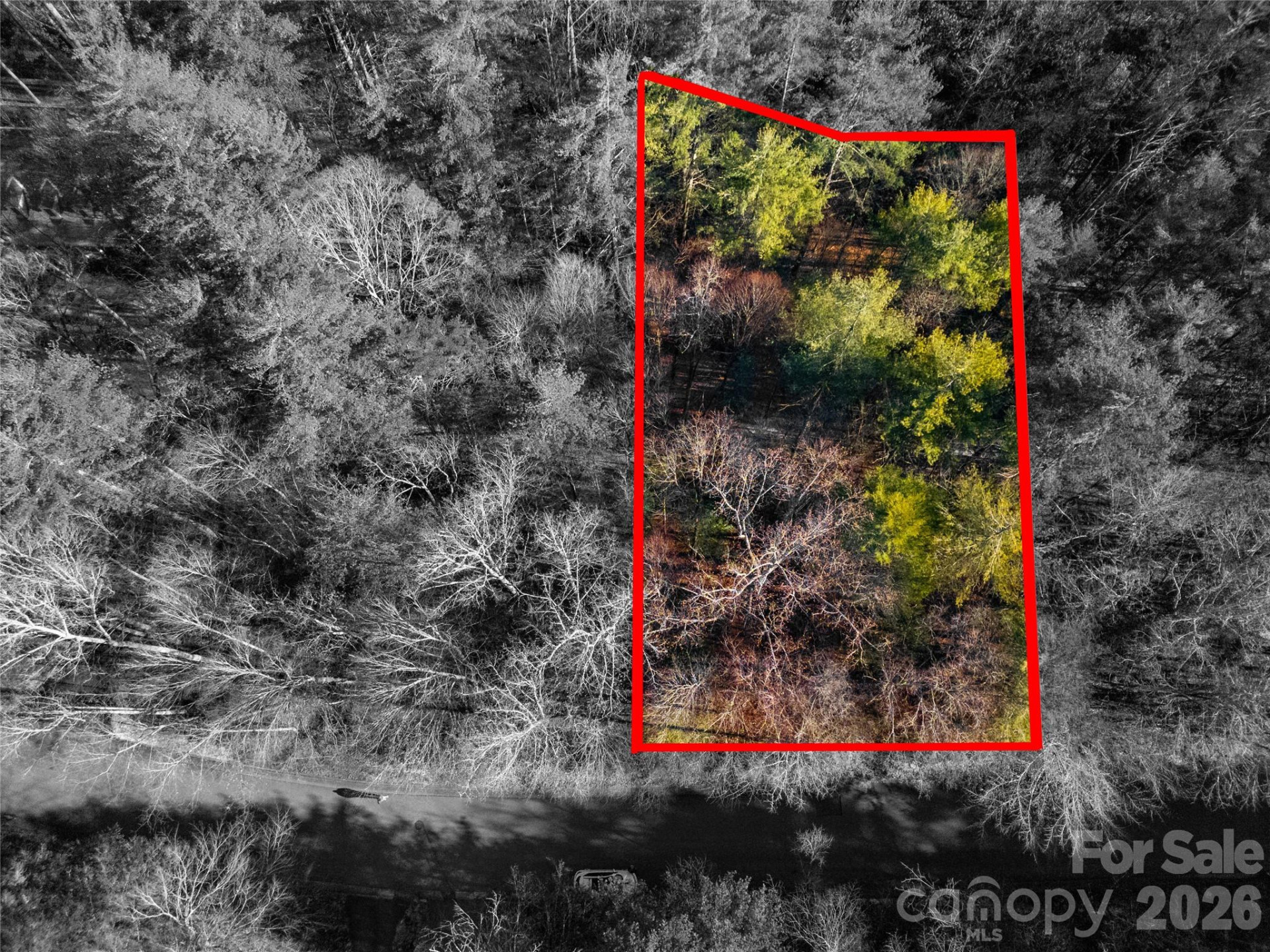 L11 Deerlake Road #11 - Photo 15